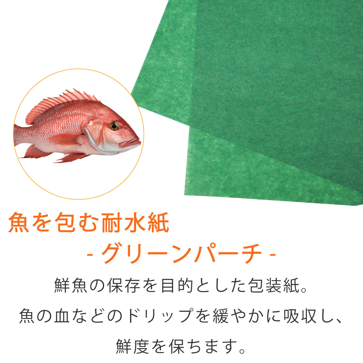 グリーンパーチ　魚を包む緑の紙